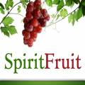 The SpiritFruit of Goodness